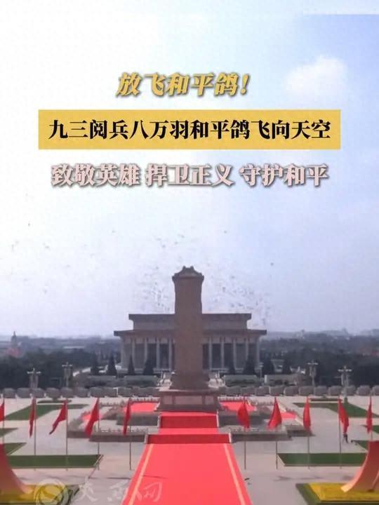 开云体育官方网站-8万羽和平鸽都是“借来